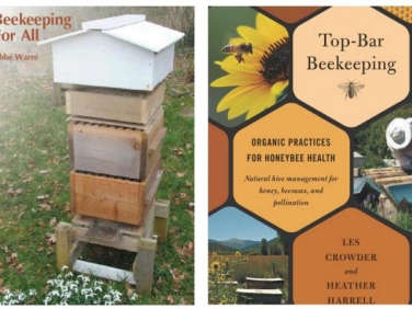 700 bee thinking bee books  
