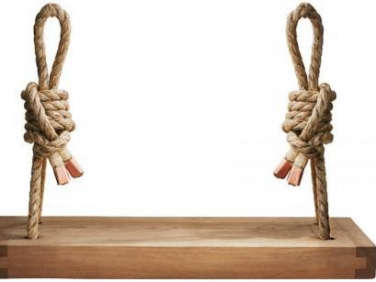 700 ceder rope hanging swing  
