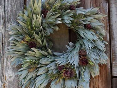 700 flora grub silvery wreath  