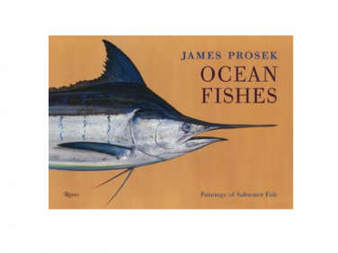 700 james prosek ocean fishes  