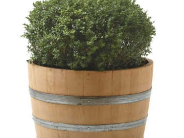 700 viva terra wine barrel planter jpeg  