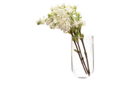 700 wall vase from sprout home  