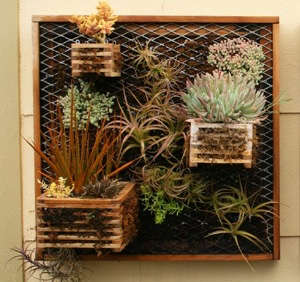 DIY Vertical Garden Kit Just Add Water and a Wall portrait 8