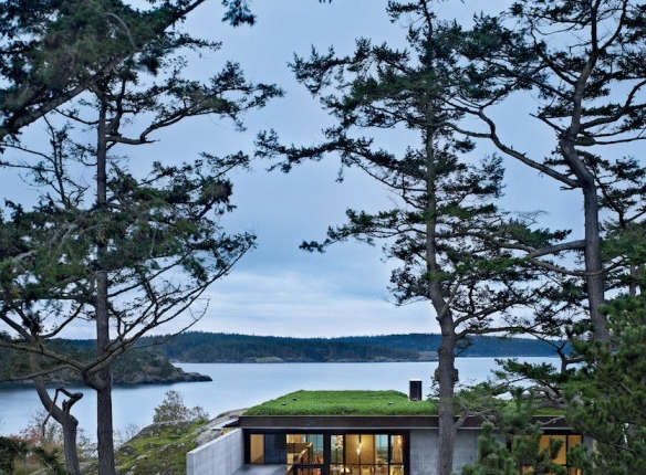 7 Favorite Winter Reads from the Remodelista Editors portrait 35