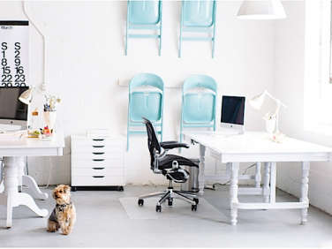 aqua chairs on wall  