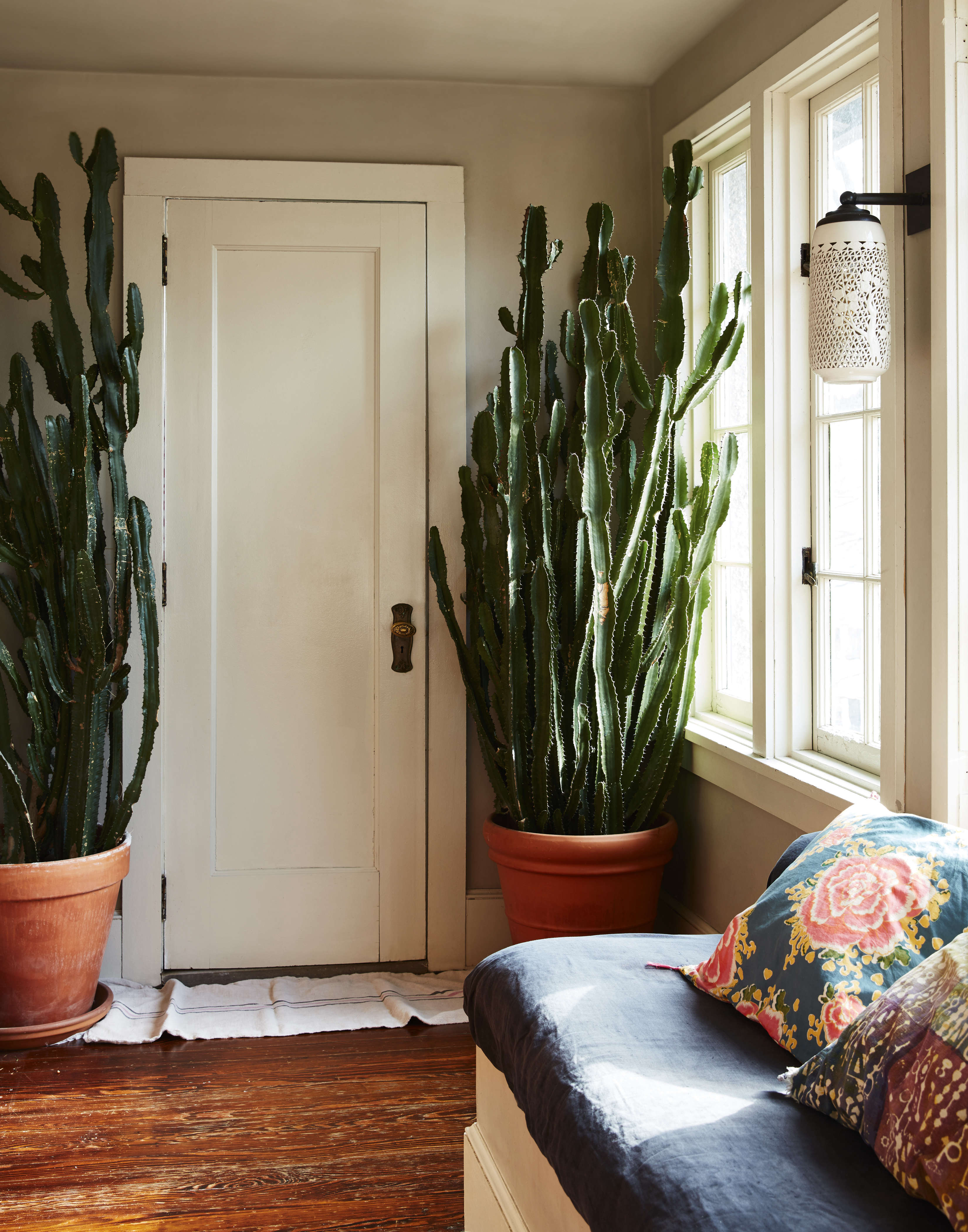 thriving euphorbia flank the bathroom door in the sunroom. the sconce, by custo 23