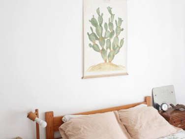 arminho cactus poster  