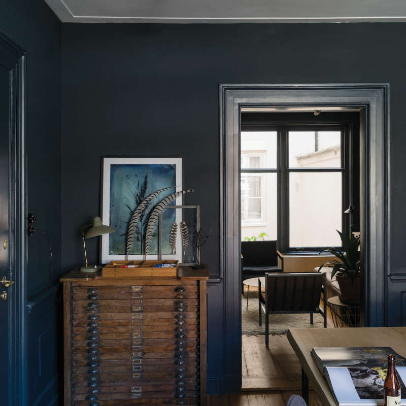 Farrow and Ball Book dark room with white ceiling  