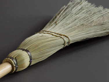 Object Lessons The Autumnal Broom portrait 6