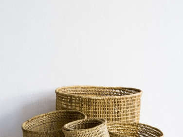 rain forest baskets  