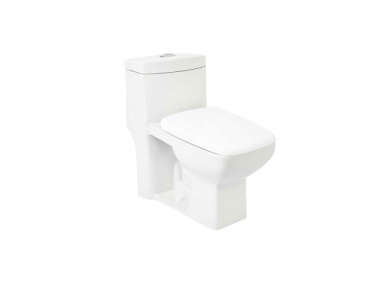signature hardware dual flush one piece toilet  