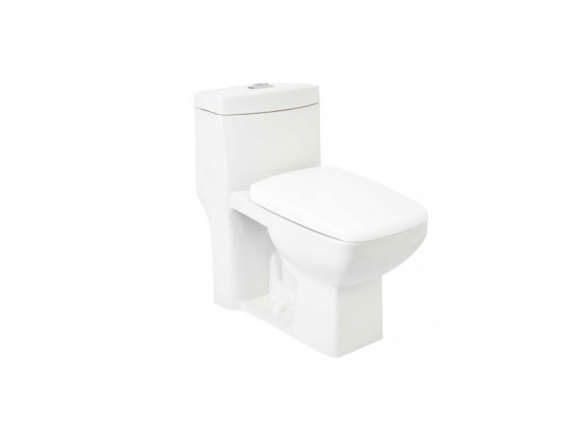 winslow dual flush one piece elongated siphonic toilet 8