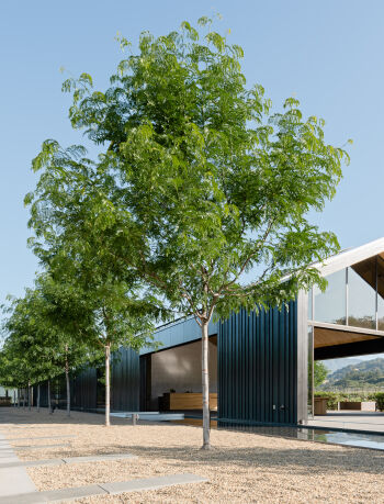 silver oak winery alexander valley landscape design by mfla 8