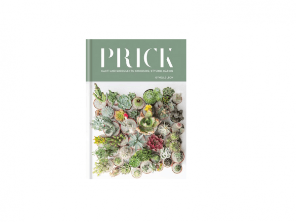 prick book cover amazon  