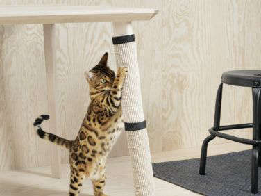 Ikea cat product 6  