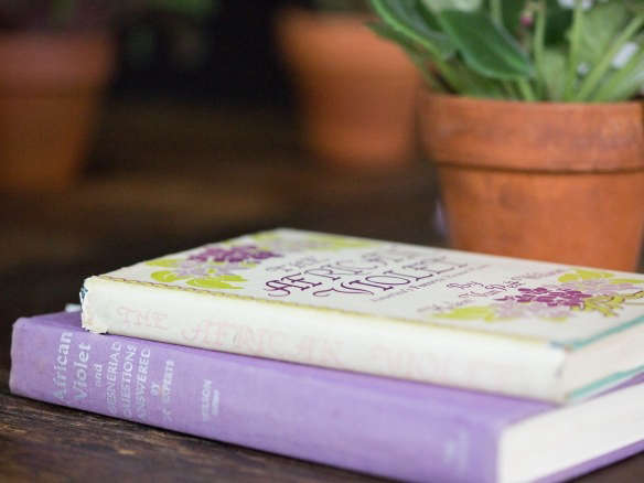 afciran violets books helen van pelt mimi giboin  