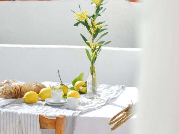 lemons acacia branches outdoor dining portugal chelsea fuss  