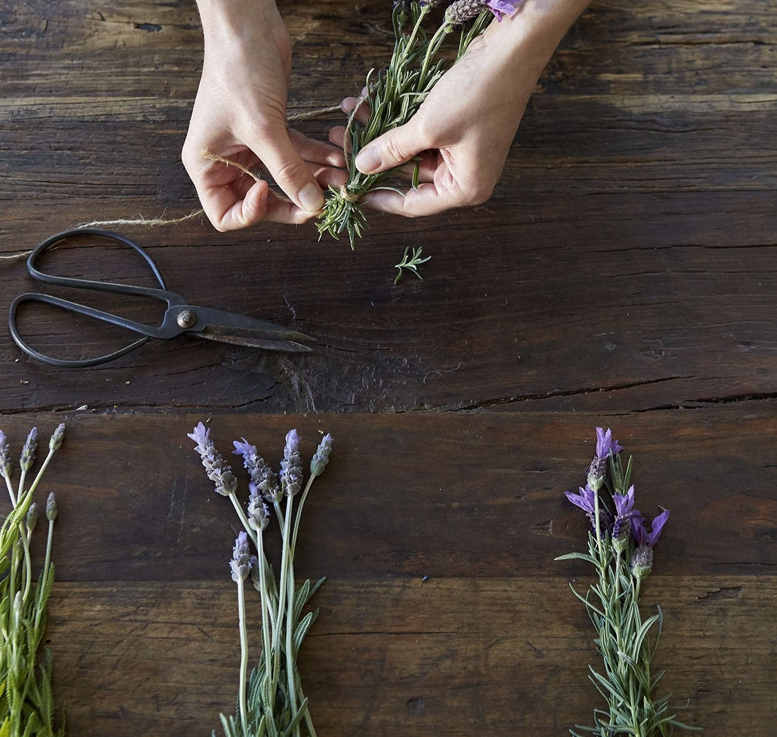 drying herbs lavender for tisanes aya brackett  