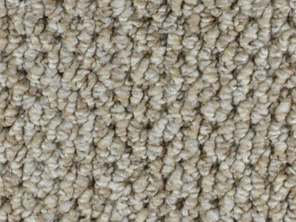 follow up – color stanton loop carpet 8