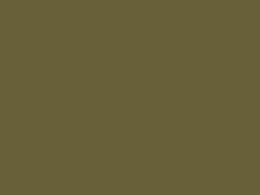 wooster olive swatch  