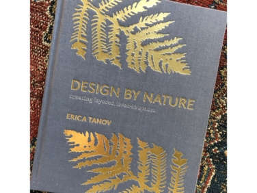 design by nature  