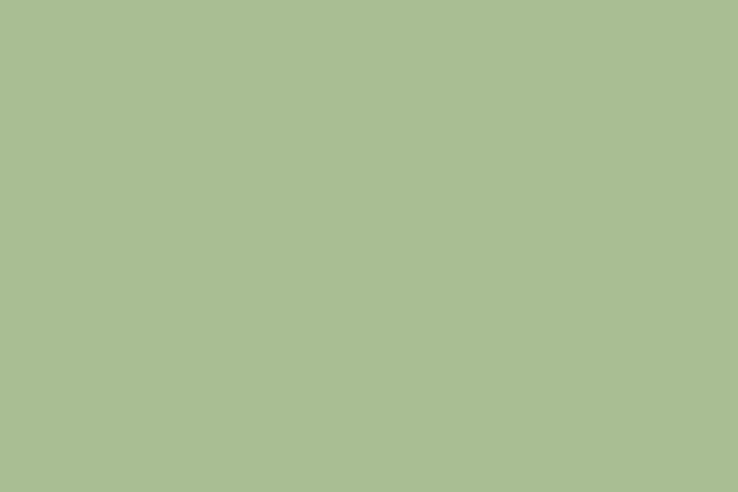 Little Greene Pea Green (91) Paint