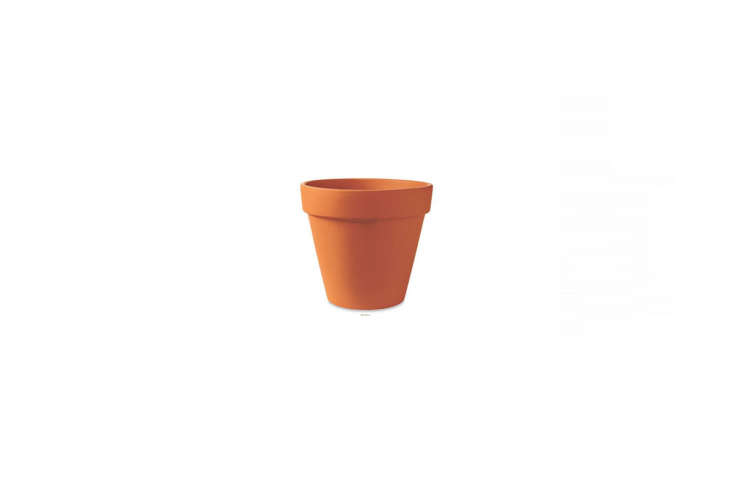 the ubiquitous hardware store terra cotta pot is a classic in the garden— 24
