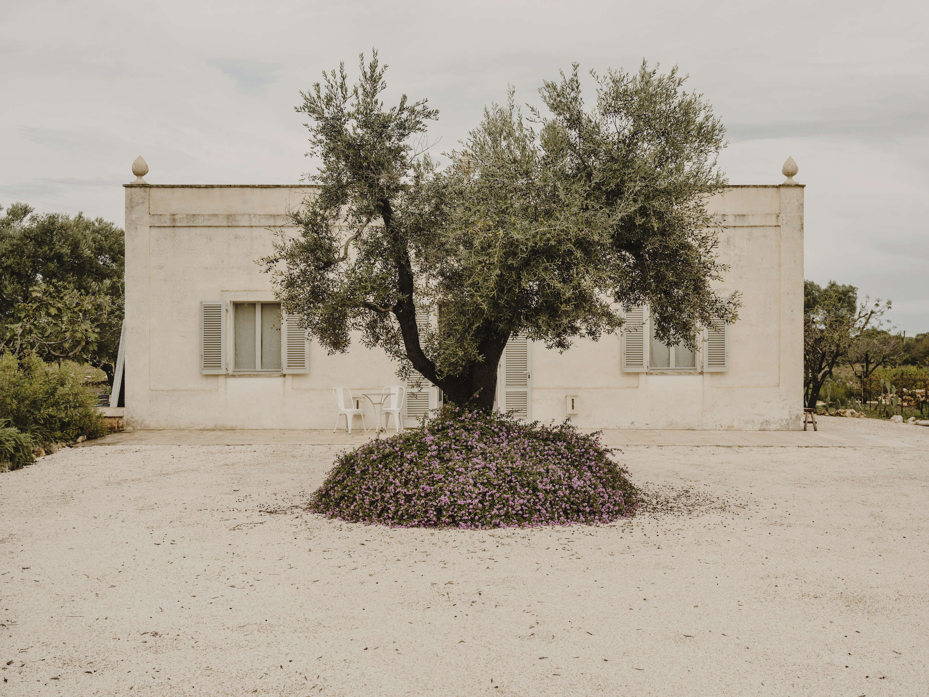 Italian Spring: A Villa in the Puglia Countryside, with Rooms for Let - Remodelista