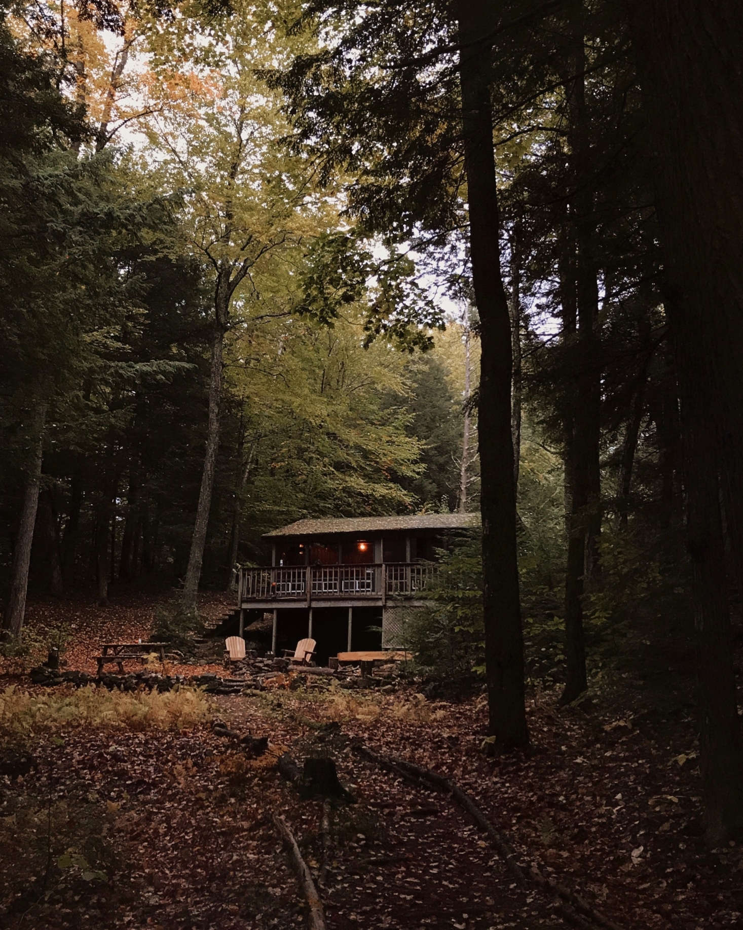 exterior of alice saunders' new hampshire cabin, photo by alice saunders 0