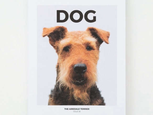 DOG magazine portrait 3 8