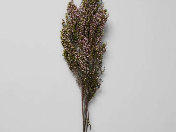 dried pink heather –  dried botanicals 8