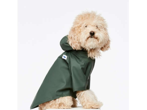 doggie raincoat sarah green color 8