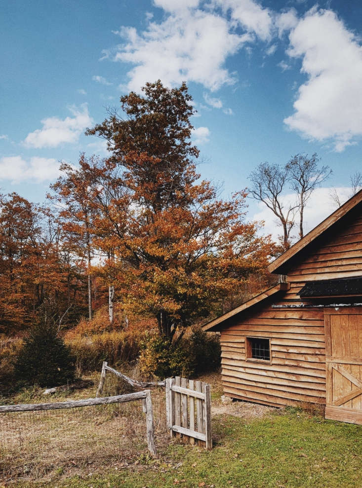 &#8220;the cabin is located in the western part of the catskills, in a ti 9