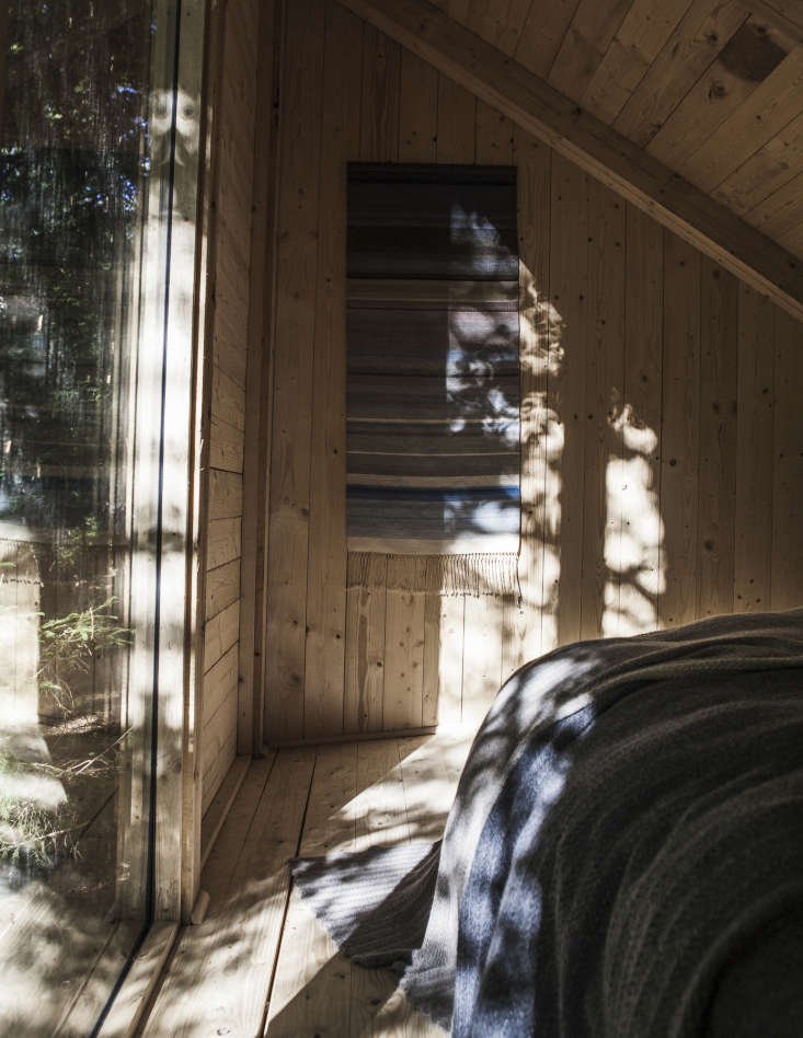 floor to ceiling windows offer views of the forest from every cabin. 11