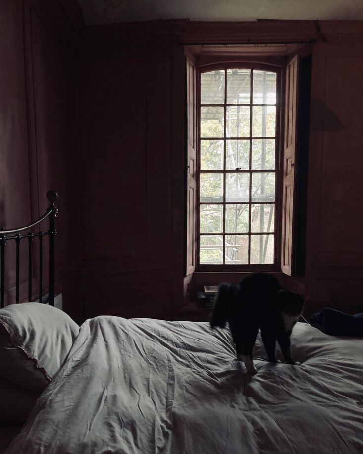 a bedroom at dusk. &#8220;frankly, home—what and who we choose to  28