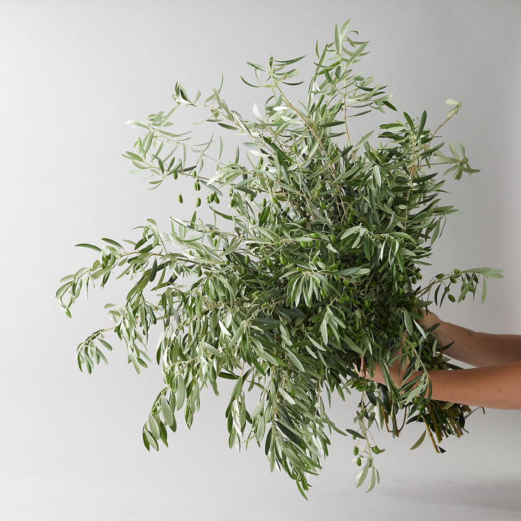 a fresh olive branch bunch is $68 from terrain. 23