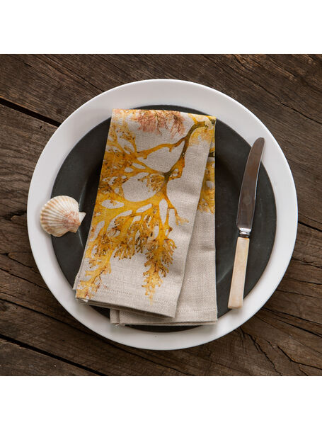 molesworth and bird royal fern weed napkin 14