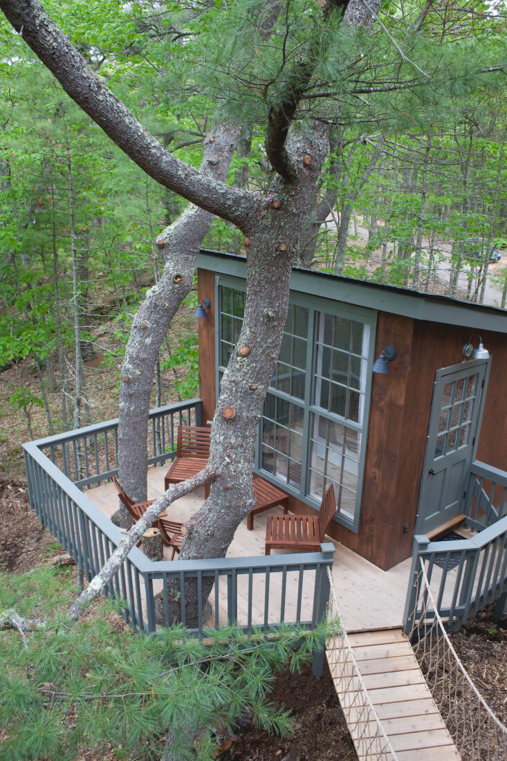 above: the winner will also get a two night stay at seguin tree dwellings and g 10