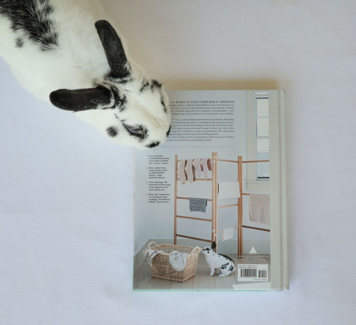bunzo, justine&#8\2\17;s pet rabbit, checks out his publishing debut on the 9