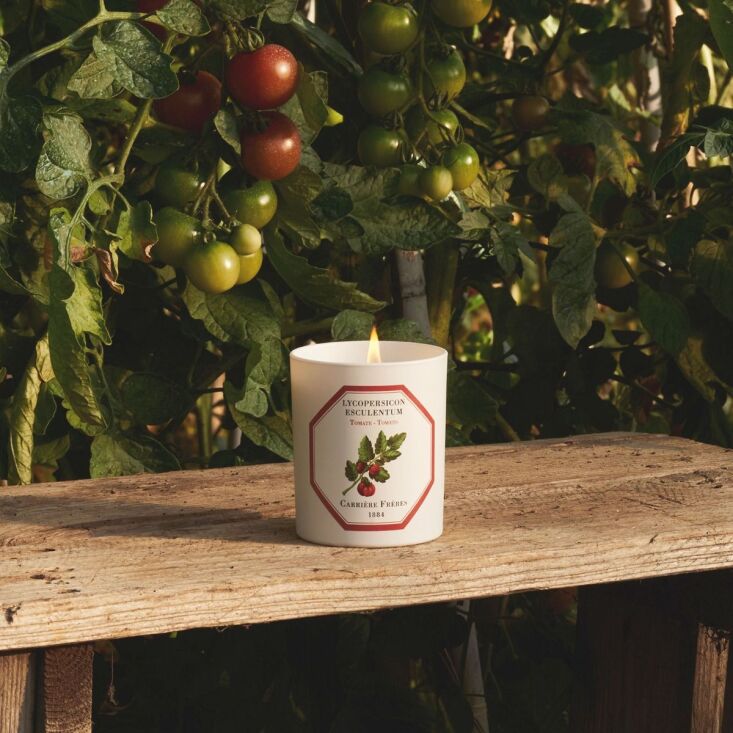 carriere tomato candle