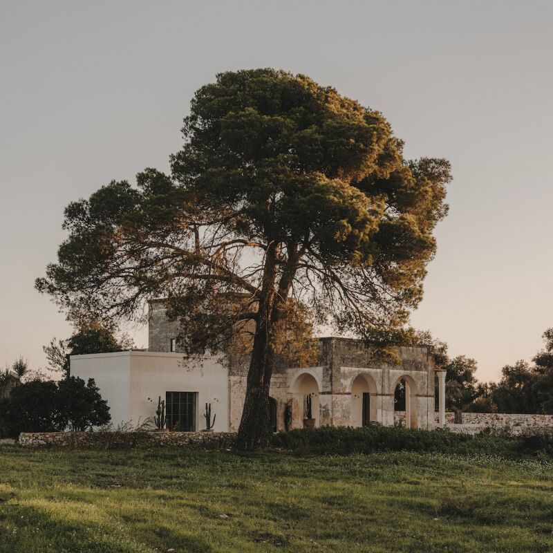 Before  After A Bright 17thCentury House Overlooking the Sea on Mallorca for Two Young Architects portrait 7