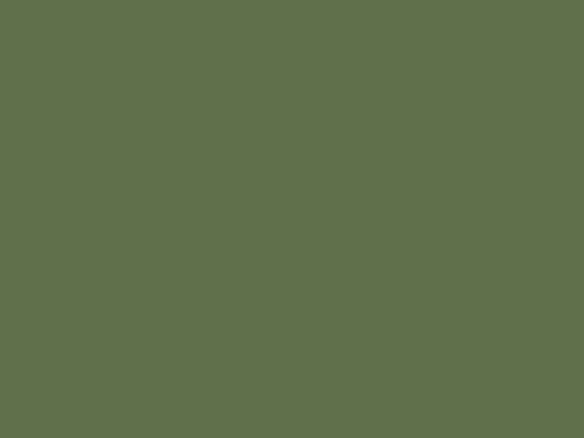 sorrel green no.207 8