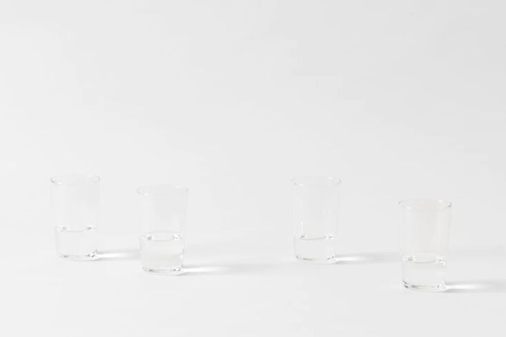 on the higher end of the pricing spectrum, the r+d lab luisa clear water glass  9