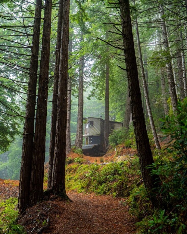 dawn is tucked amongst the redwoods. it was built in \197\2 by community member 25