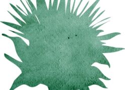 dw logo thistle only green