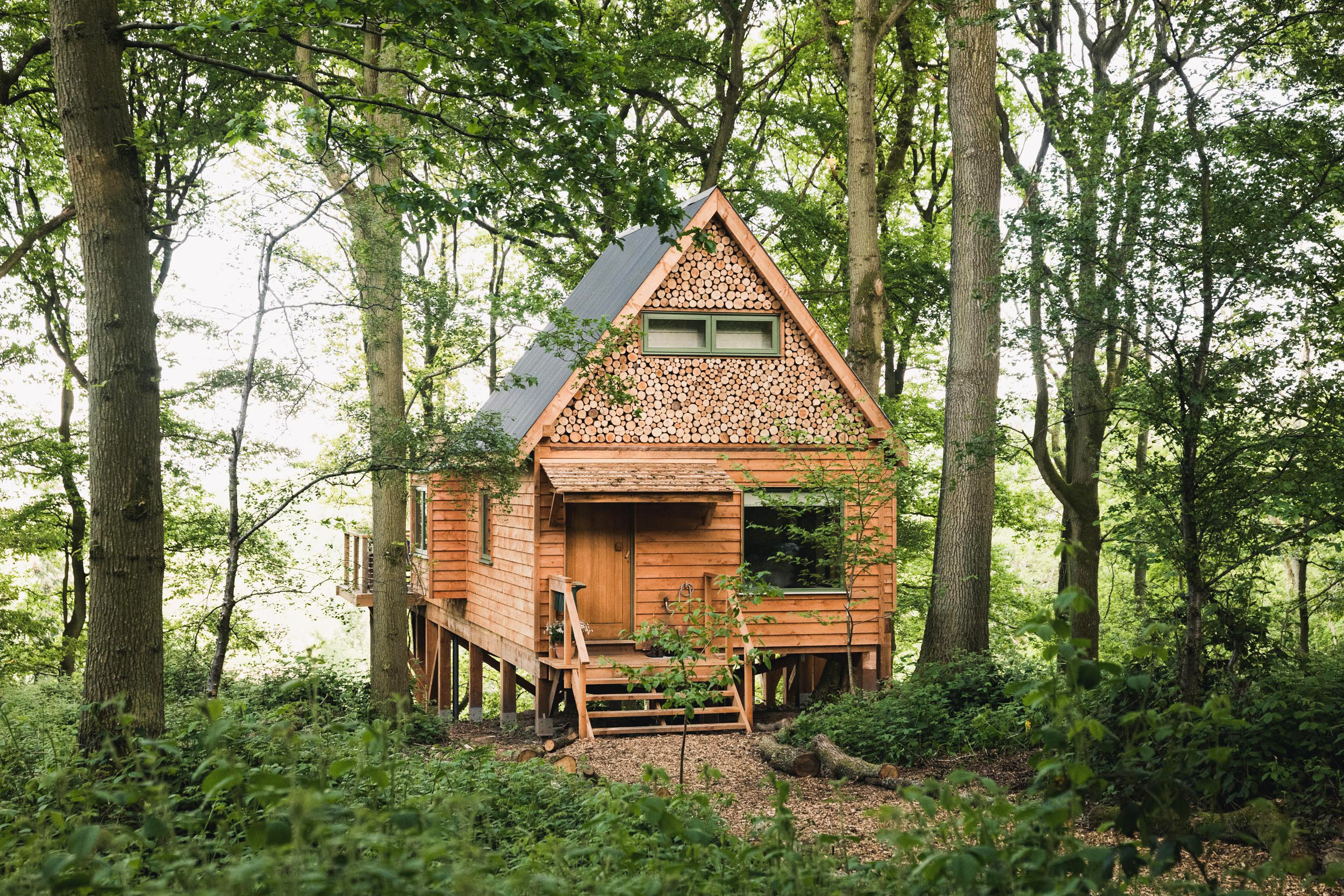 the treehouse—a house amid trees—is located on the bald spot of a 14