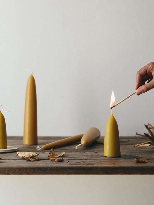 Trend Alert: Short and Stout Beeswax Candles for Long Winter Nights Web Story