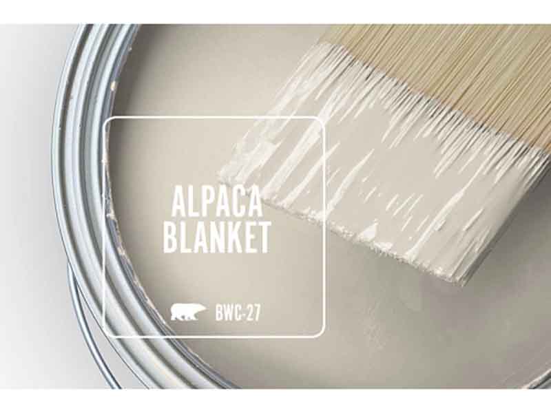 Alpaca Blanket