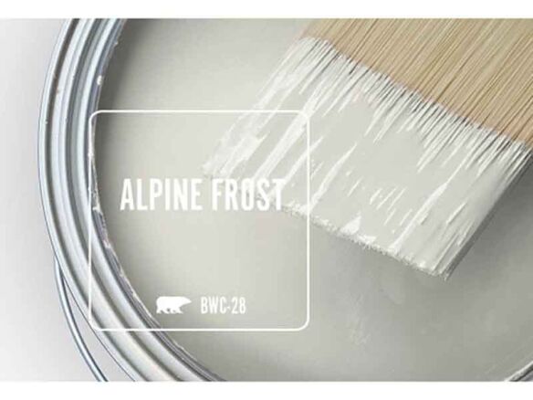 bwc 28 alpine frost  