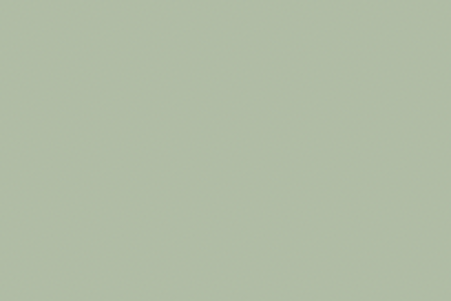 farrow and ball whirlybird no. 309 3